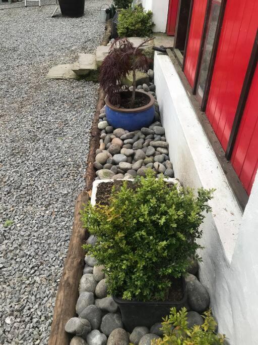 Stone Wall Cottage Castlewellan Extérieur photo